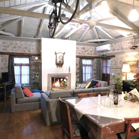Agoriani Art Suite - 4 Seasons' Natural Living Lilaia Bagian luar foto
