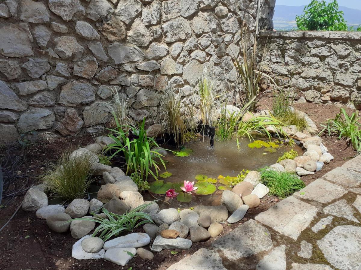 Agoriani Art Suite - 4 Seasons' Natural Living Lilaia Bagian luar foto